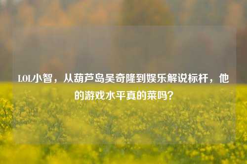 LOL小智,从葫芦岛吴奇隆到娱乐解说标杆,他的游戏水平真的菜吗?