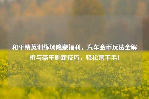 和平精英训练场隐藏福利,汽车金币玩法全解析与豪车刷新技巧,轻松薅羊毛!