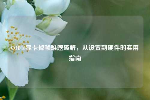 COD16显卡掉帧难题破解,从设置到硬件的实用指南