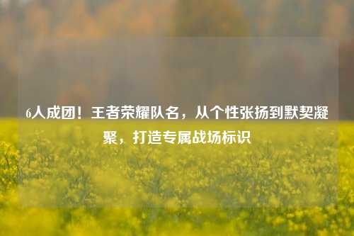 6人成团!王者荣耀队名,从个性张扬到默契凝聚,打造专属战场标识