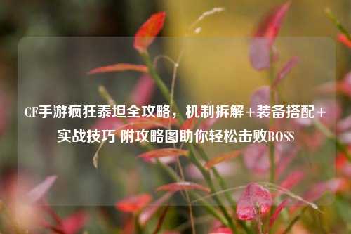 CF手游疯狂泰坦全攻略,机制拆解+装备搭配+实战技巧 附攻略图助你轻松击败BOSS