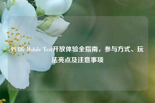 PUBG Mobile Test开放体验全指南,参与方式、玩法亮点及注意事项
