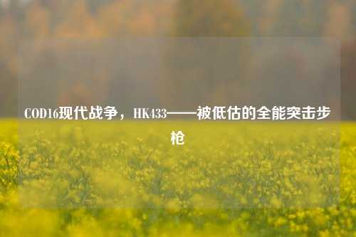 COD16现代战争,HK433——被低估的全能突击步枪
