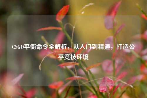 CSGO平衡命令全解析,从入门到精通,打造公平竞技环境