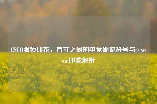 CSGO眼镜印花,方寸之间的电竞潮流符号与csgoiem印花解析
