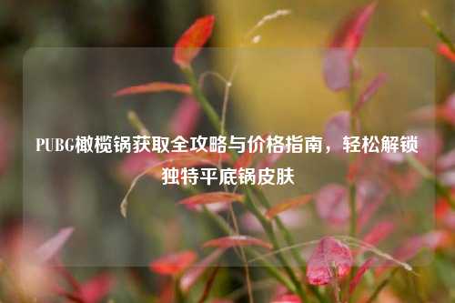 PUBG橄榄锅获取全攻略与价格指南,轻松解锁独特平底锅皮肤