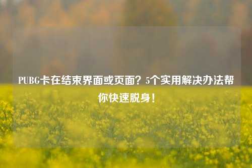 PUBG卡在结束界面或页面?5个实用解决办法帮你快速脱身!