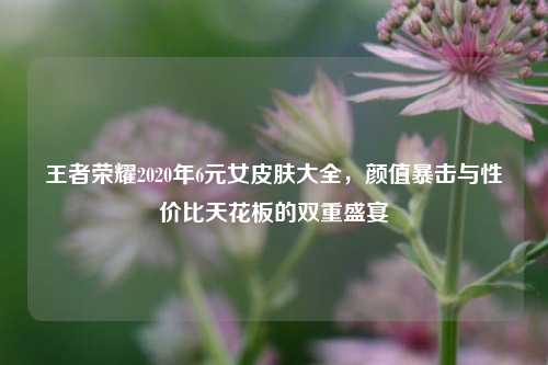 王者荣耀2020年6元女皮肤大全,颜值暴击与性价比天花板的双重盛宴