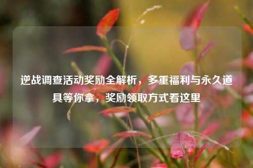 逆战调查活动奖励全解析,多重福利与永久道具等你拿,奖励领取方式看这里
