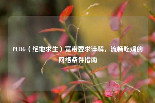 PUBG(绝地求生)宽带要求详解,流畅吃鸡的 *** 条件指南