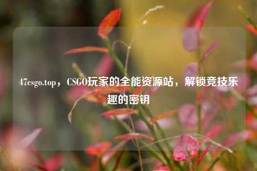 47csgo.top,CSGO玩家的全能资源站,解锁竞技乐趣的密钥