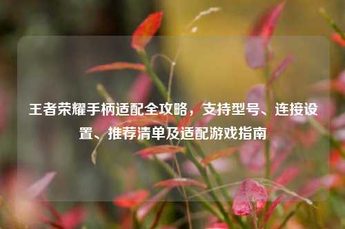 王者荣耀手柄适配全攻略,支持型号、连接设置、推荐清单及适配游戏指南