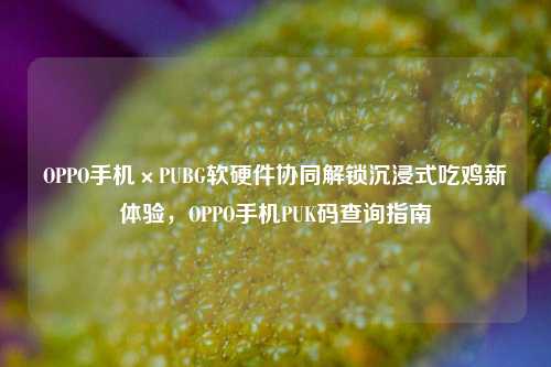 OPPO手机×PUBG软硬件协同解锁沉浸式吃鸡新体验,OPPO手机PUK码查询指南
