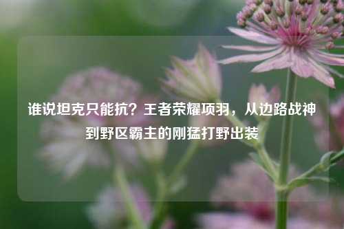 谁说坦克只能抗?王者荣耀项羽,从边路战神到野区霸主的刚猛打野出装