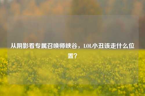从阴影看专属召唤师峡谷,LOL小丑该走什么位置?