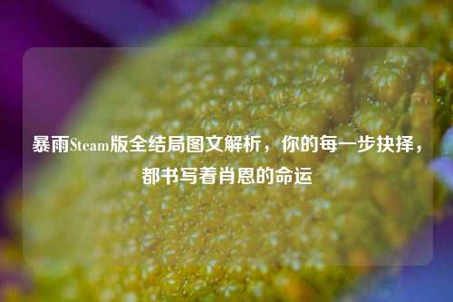 暴雨Steam版全结局图文解析,你的每一步抉择,都书写着肖恩的命运