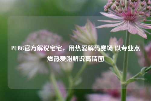 PUBG官方解说宅宅,用热爱解码赛场 以专业点燃热爱附解说高清图