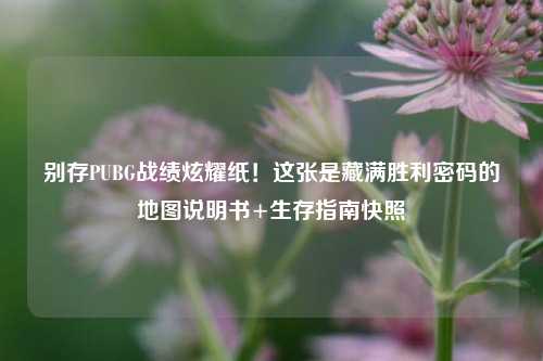 别存PUBG战绩炫耀纸!这张是藏满胜利密码的地图说明书+生存指南快照
