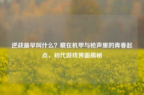 逆战最早叫什么?藏在机甲与枪声里的青春起点,初代游戏界面揭秘