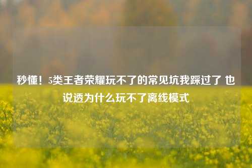 秒懂!5类王者荣耀玩不了的常见坑我踩过了 也说透为什么玩不了离线模式