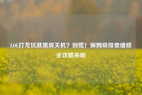 LOL打龙坑就黑屏关机?别慌!保姆级排查维修全攻略来啦