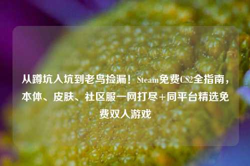 从蹲坑入坑到老鸟捡漏!Steam免费CS2全指南,本体、皮肤、社区服一网打尽+同平台精选免费双人游戏