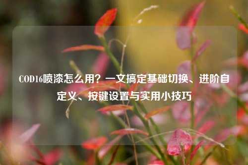 COD16喷漆怎么用?一文搞定基础切换、进阶自定义、按键设置与实用小技巧