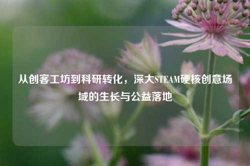 从创客工坊到科研转化,深大STEAM硬核创意场域的生长与公益落地