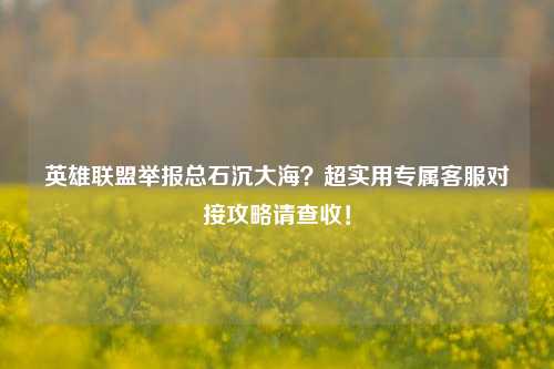 英雄联盟举报总石沉大海?超实用专属 *** 对接攻略请查收!