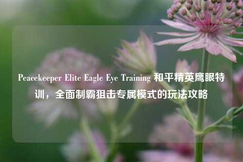 Peacekeeper Elite Eagle Eye Training 和平精英鹰眼特训,全面制霸狙击专属模式的玩法攻略