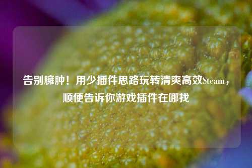 告别臃肿!用少插件思路玩转清爽高效Steam,顺便告诉你游戏插件在哪找