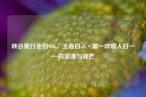 峡谷里行走的98K,王者白all·之一吹哨人白一一的浪漫与锋芒