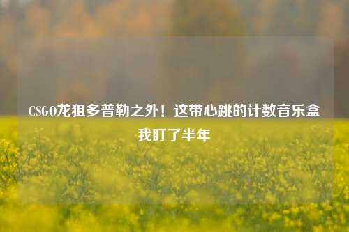 CSGO龙狙多普勒之外!这带心跳的计数音乐盒我盯了半年
