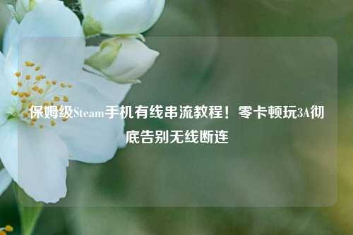 保姆级Steam手机有线串流教程!零卡顿玩3A彻底告别无线断连