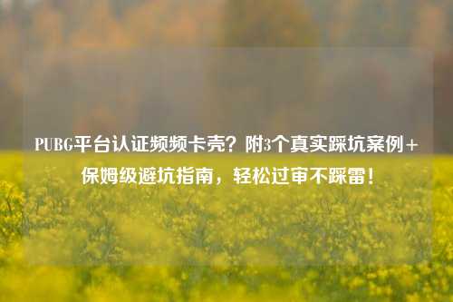 PUBG平台认证频频卡壳?附3个真实踩坑案例+保姆级避坑指南,轻松过审不踩雷!