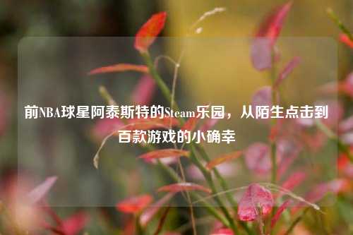 前NBA球星阿泰斯特的Steam乐园,从陌生点击到百款游戏的小确幸