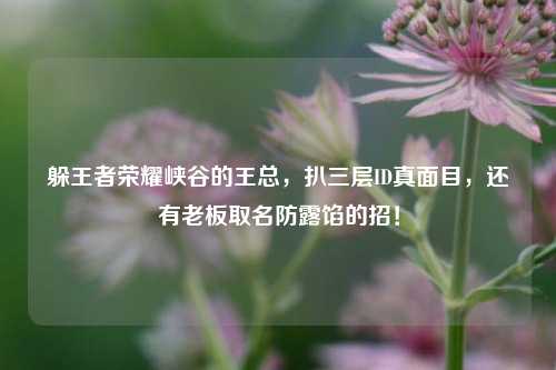 躲王者荣耀峡谷的王总,扒三层ID真面目,还有老板取名防露馅的招!