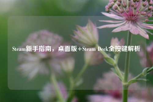 Steam新手指南,桌面版+Steam Deck全按键解析