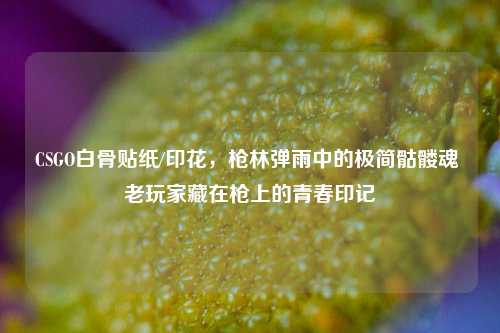 CSGO白骨贴纸/印花,枪林弹雨中的极简骷髅魂 老玩家藏在枪上的青春印记