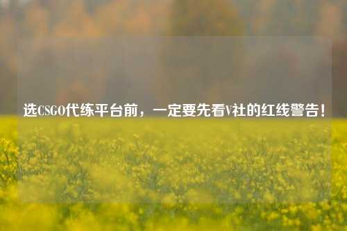 选CSGO代练平台前,一定要先看V社的红线警告!