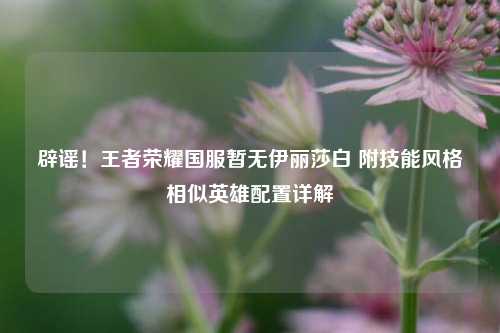 辟谣!王者荣耀国服暂无伊丽莎白 附技能风格相似英雄配置详解