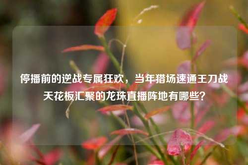 停播前的逆战专属狂欢,当年猎场速通王刀战天花板汇聚的龙珠直播阵地有哪些?