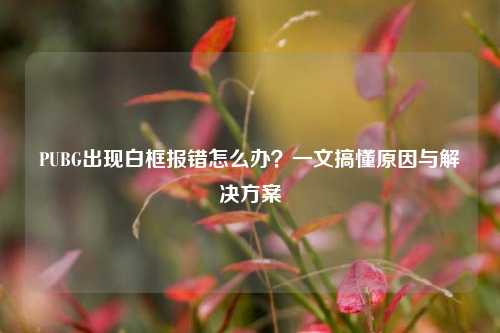 PUBG出现白框报错怎么办?一文搞懂原因与解决方案