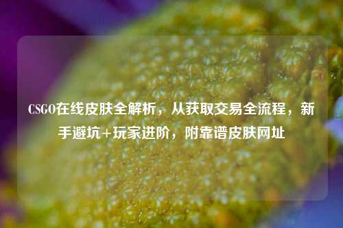 CSGO在线皮肤全解析,从获取交易全流程,新手避坑+玩家进阶,附靠谱皮肤网址