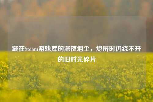 藏在Steam游戏库的深夜烟尘,熄屏时仍绕不开的旧时光碎片