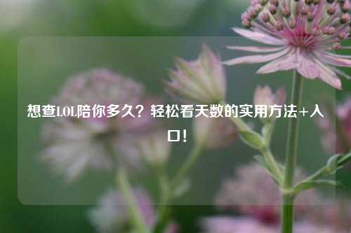 想查LOL陪你多久?轻松看天数的实用 *** +入口!