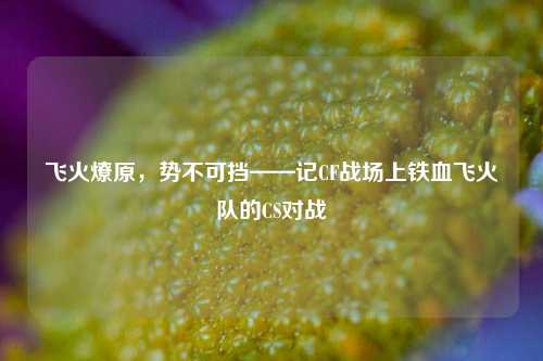 飞火燎原,势不可挡——记CF战场上铁血飞火队的CS对战