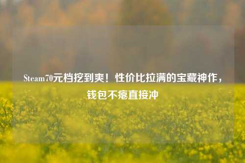 Steam70元档挖到爽!性价比拉满的宝藏神作,钱包不瘪直接冲