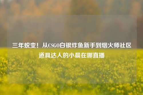 三年蜕变!从CSGO白银炸鱼新手到烟火师社区道具达人的小晨在哪直播
