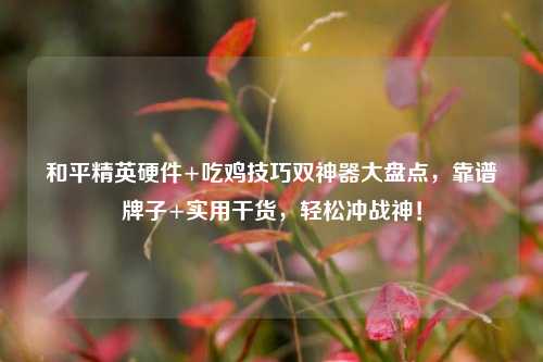 和平精英硬件+吃鸡技巧双神器大盘点,靠谱牌子+实用干货,轻松冲战神!